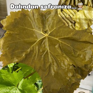 SULTANİYE ASMA YAPRAĞI 5 KG